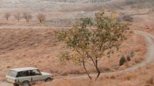 El carro del sabor de las cerezas