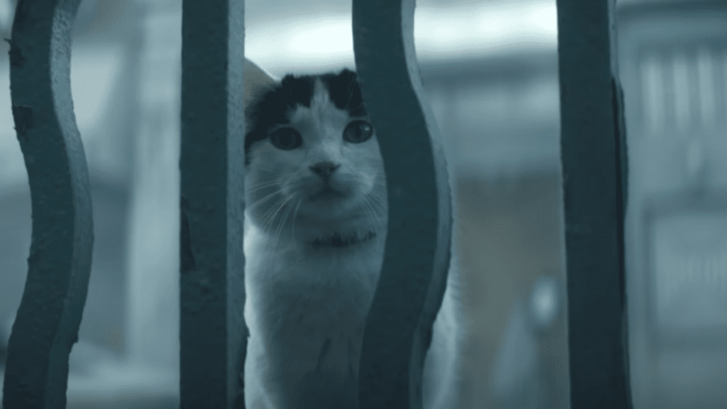 Crítica de Un lugar en silencio dia uno - El gato eric