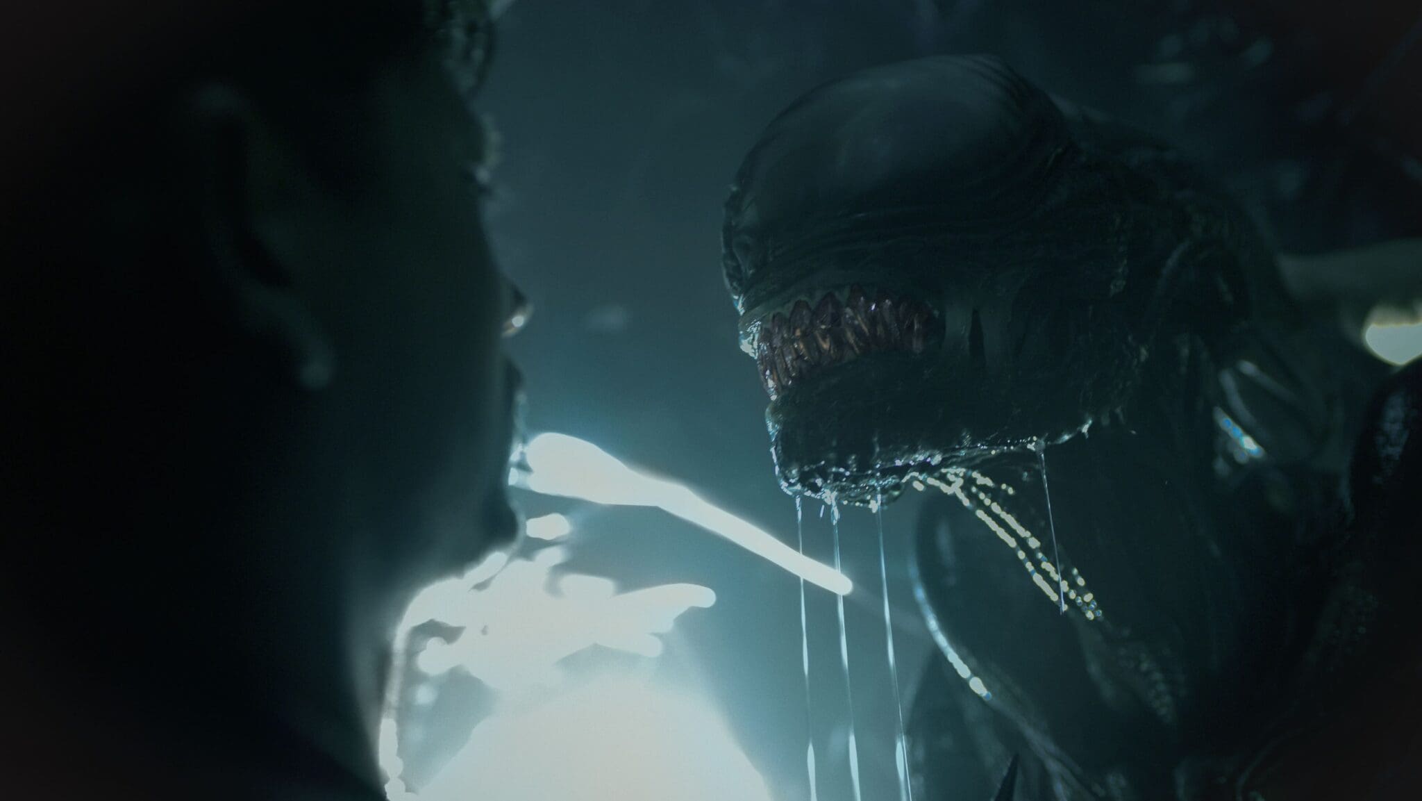 xenomorfos en Alien Romulus de Fede Alvarez