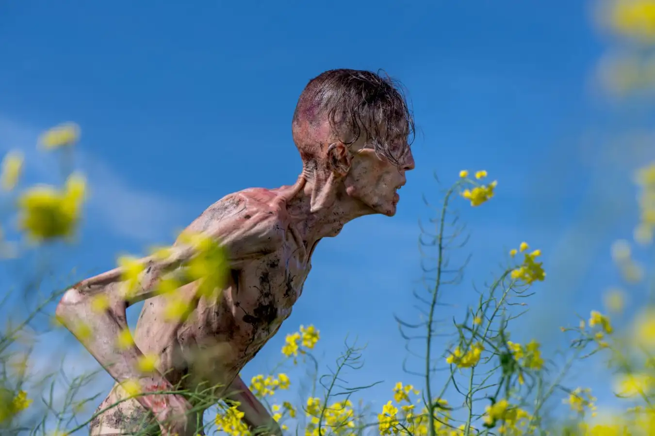 Las 10 mejores películas del 2025 (por ahora)