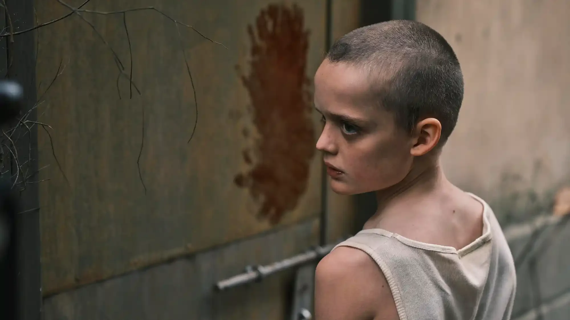 Bring her back pelicula