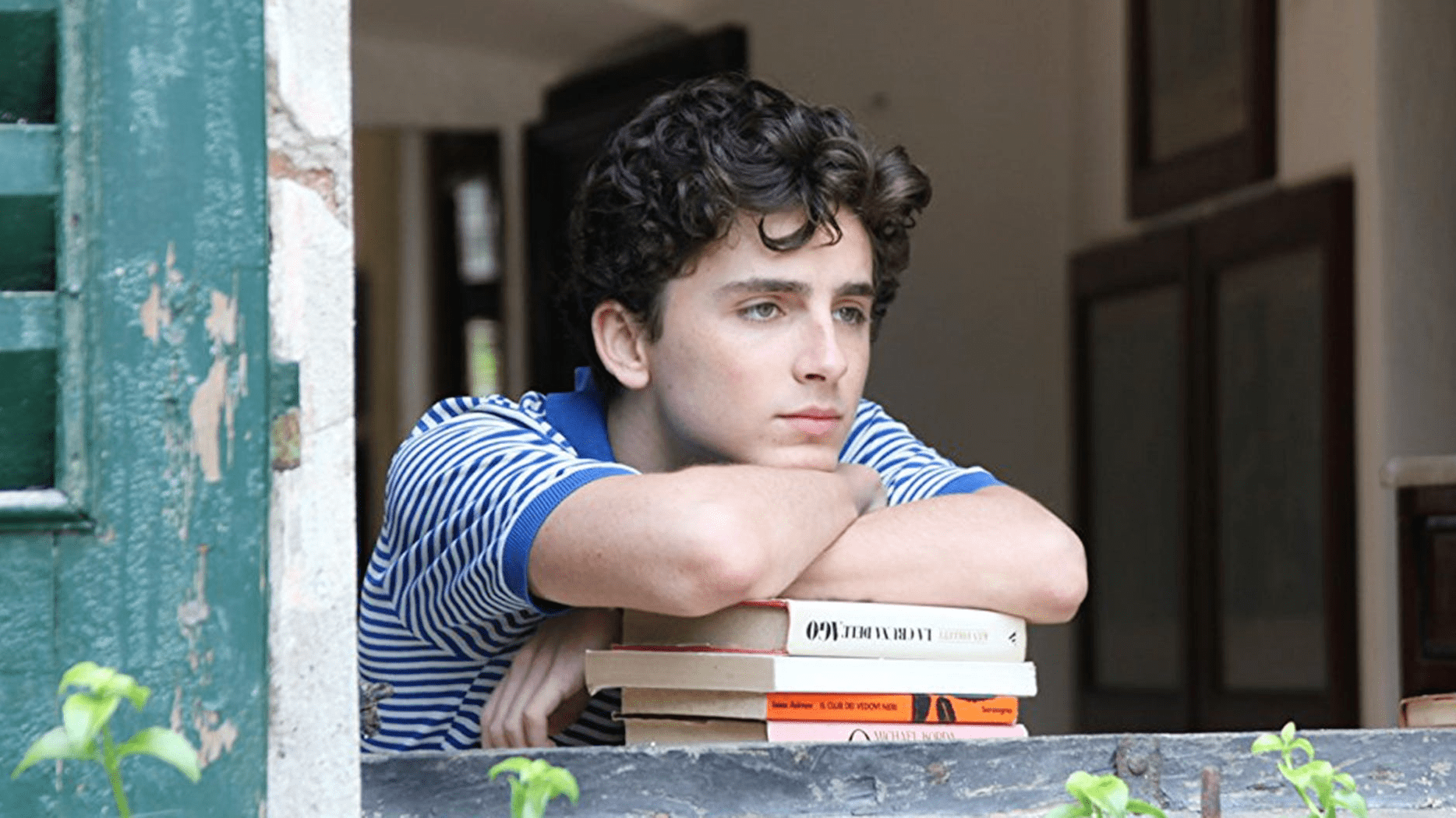 timothée chalamet en call me by your name