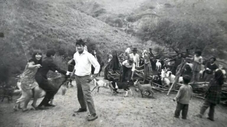 ‘Nuestra Tierra’: el documental de Lucrecia Martel sobre territorio y memoria