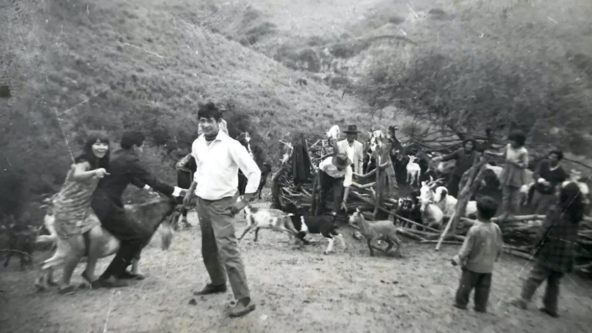 'Nuestra Tierra': el documental de Lucrecia Martel sobre territorio y memoria