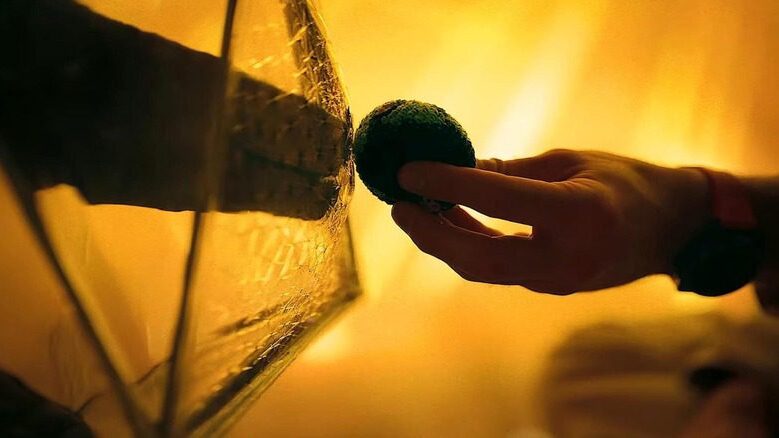 Rocky de project hail mary